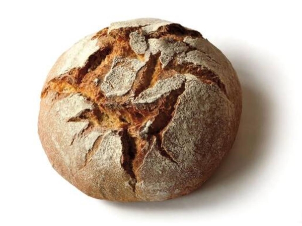 Witbrood